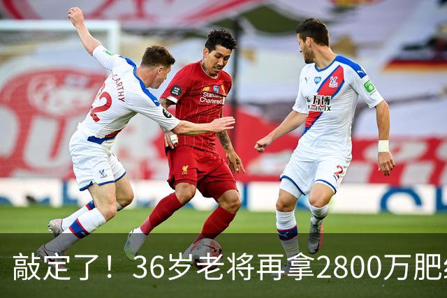 敲定了！36岁老将再拿2800万肥约，对齐库里，勇士尊重给足了